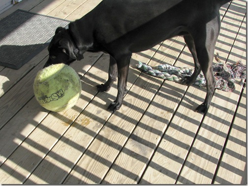 mel-and-ball