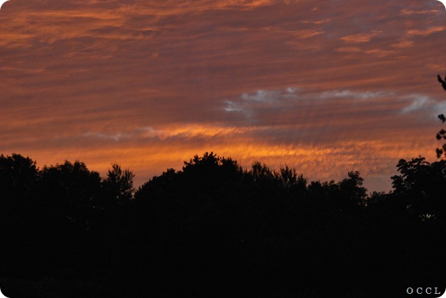 DSC_0033