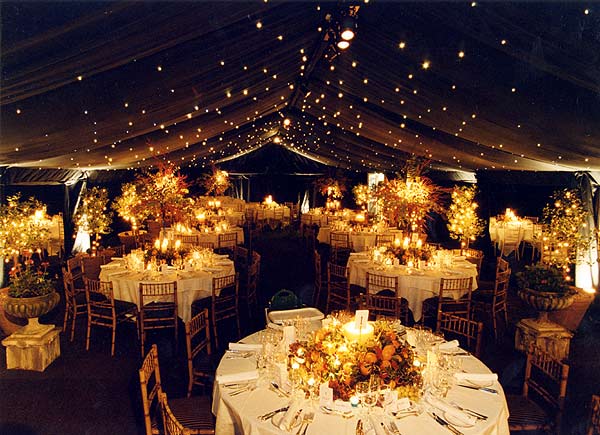 Wedding Reception And Decor Wedding reception and decor
