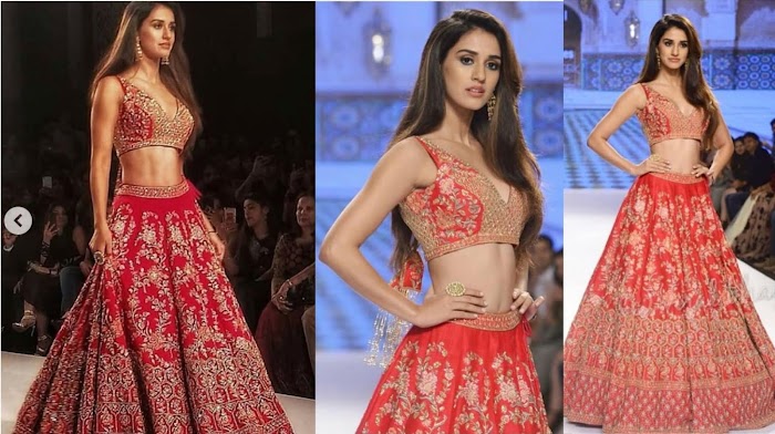 20+ Disha patani images which proves that she is the most beautifulgirl in the world