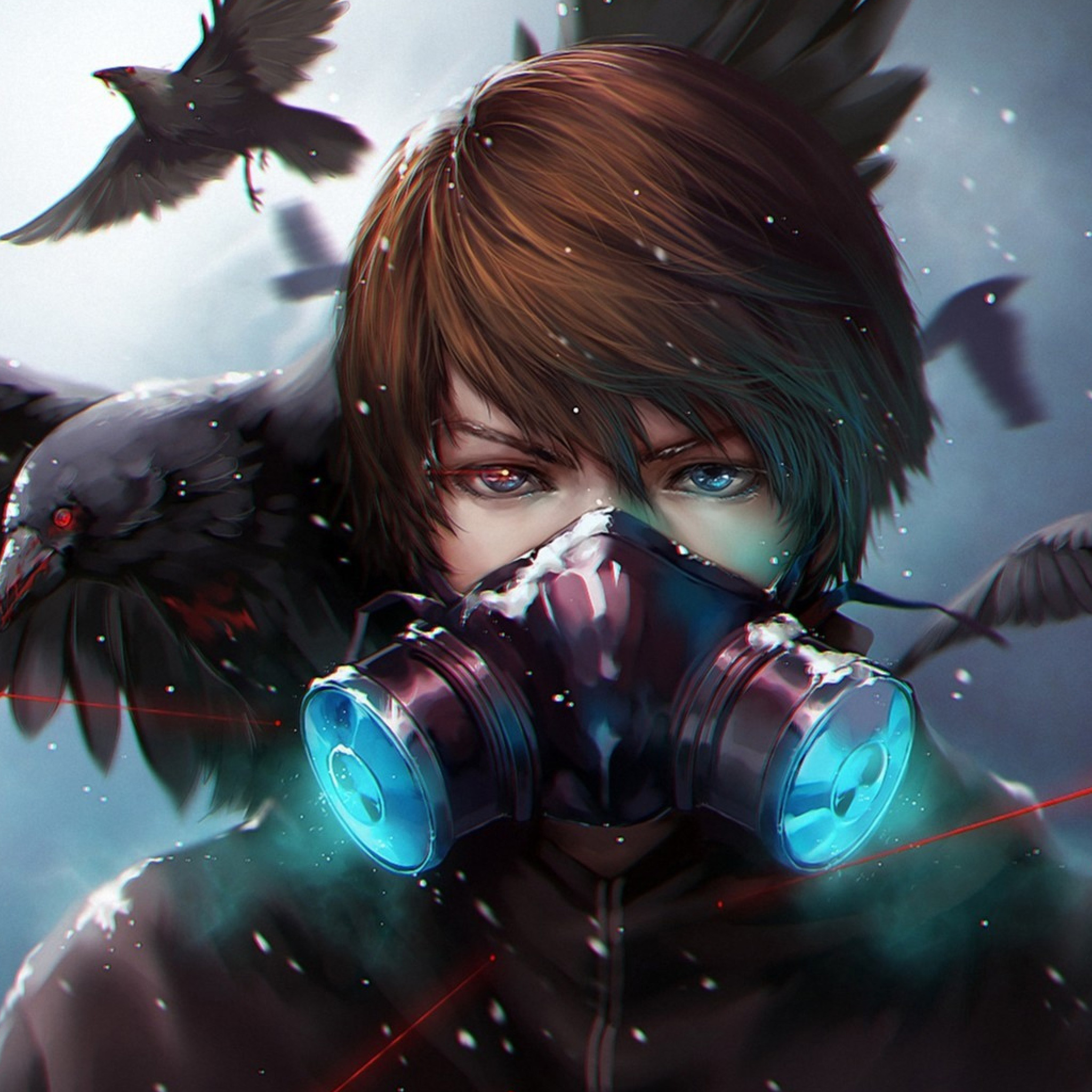  Anime Boy  Crow