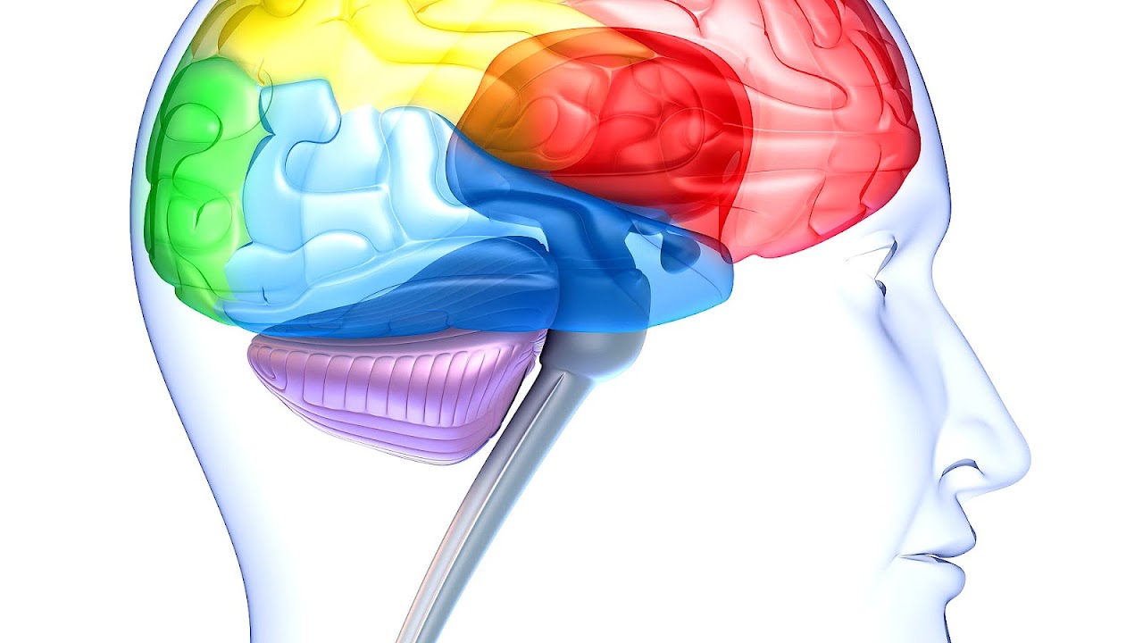 Depression in childhood and adolescence