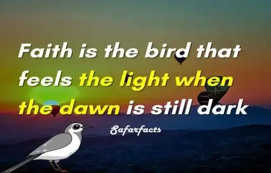 What-is-the-meaning-of-faith-is-the-bird-that-feels-the-light-and-sings-when-the-dawn-is-still-dark.webp-image