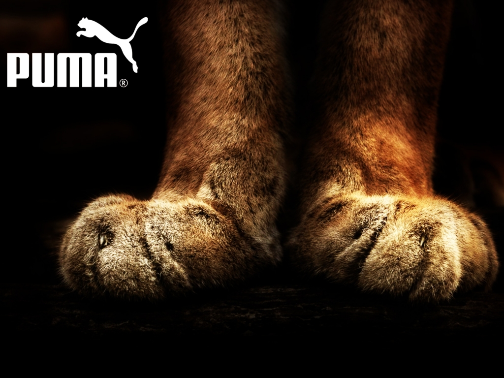 Puma Logo New Wallpapers 2011 | All Wallpapers