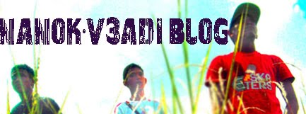Nanok.V3adi Blog