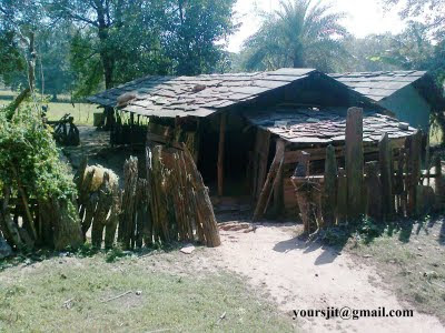 Tribal Hut