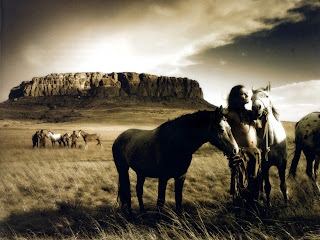 Wild Horses HD Wallpapers