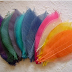 DIY Colorful Skeleton Leaves