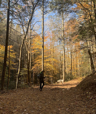 Andy and Max hanging on the trail.