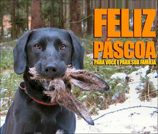 Feliz Páscoa animal!