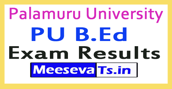 Palamuru University PU B.Ed Exam Results 