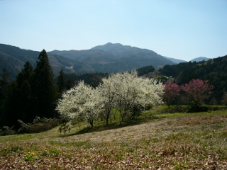 P1040643