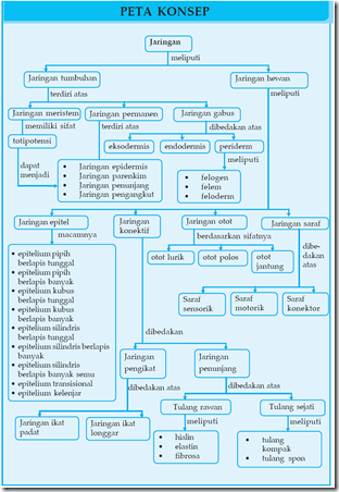 Contoh Html Menu - Sister Het