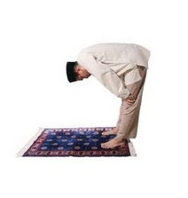 Melarang Rukuk dan Sujud saat Shalat ~ KISAH ABU NAWAS