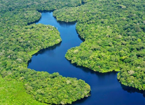 Amazônia e Sua Biodiversidade Ecocultural