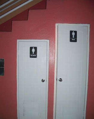 unusual toilets