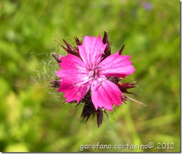 DSCN0536
