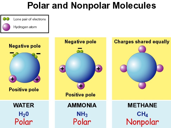 Chemistry Time Polar Molecules