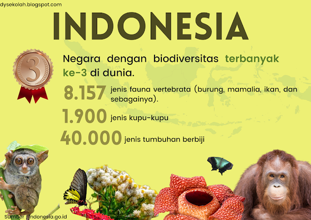 biodiversitas-dan-lahan-gambut-indonesia