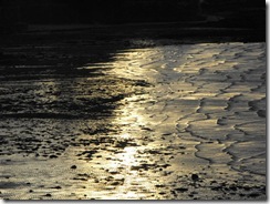 2009_112929nov20090024
