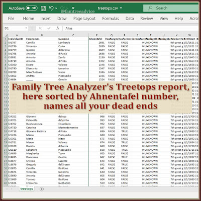 The Treetops report in Family Tree Analyzer finds all the dead ends in your genealogy research. But it doesn't show where each person fits.