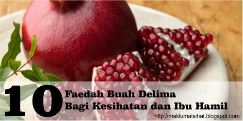 10 Faedah Buah Delima Bagi Kesihatan dan Ibu Hamil