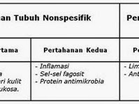 ESSAY KEKEBALAN TUBUH 