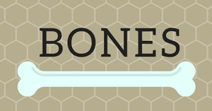 Bones ボーンズ 骨は語る キャストたちのその後を追跡調査 ぶーぶーぶたこのおすすめ海外ドラマぶログ