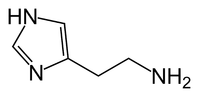   Histamine and Antihistaminics(Part 1)