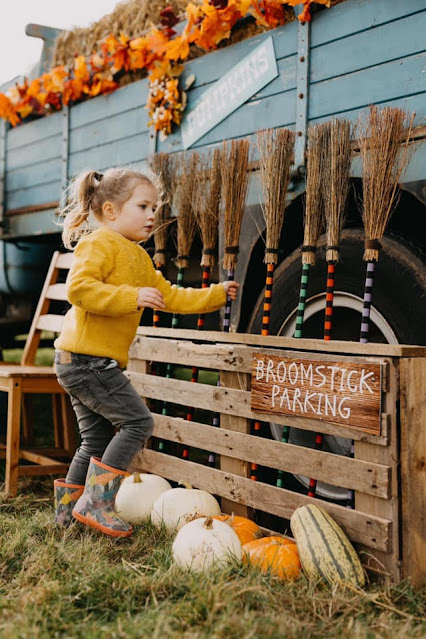 Tweddle Hall Pumpkin Patch in North East England