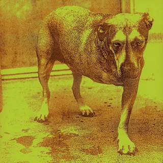 Alice in Chains - Alice in Chains (1995) front cover