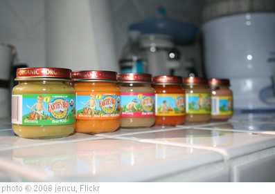 'first foods' photo (c) 2008, jencu - license: http://creativecommons.org/licenses/by/2.0/