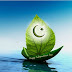 Pakistani Flag on leaf boat is Looking Most Beautiful