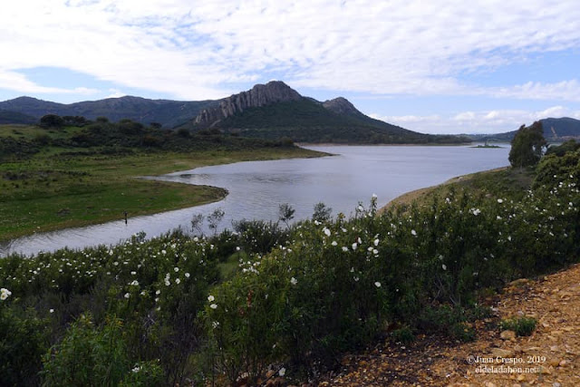 cuadalupe-casas-de-don-pedro