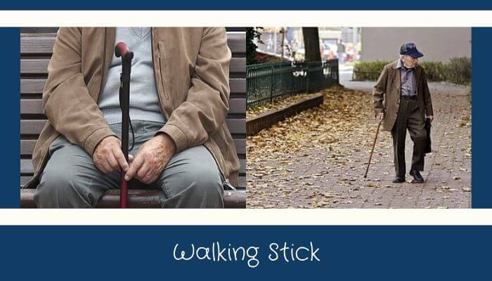 Walking Stick