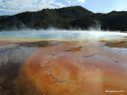 Yellowstone :: Grand Prismatic Spring (yellowstone midway)
