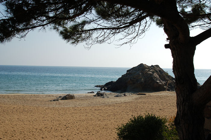 La Fosca