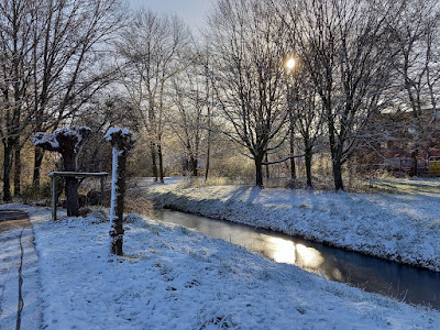 Beeld van een besneeuwd park met zon op de achtergrond door de takken