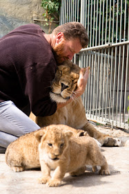 Фото Укринформ: прайд львов во главе с художником