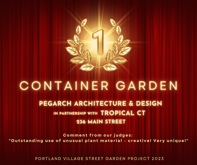 1st - Container Garden - PegArch Architecture & Design in partnership with Tropical CT. 236 Main Street. Comment from our judges:  "Outstanding use of unusual plant material - creative! Very unique!"