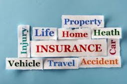 How Do the Car Life Insurance Companies Make Money and How do They Work