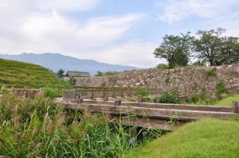 DSC 0069