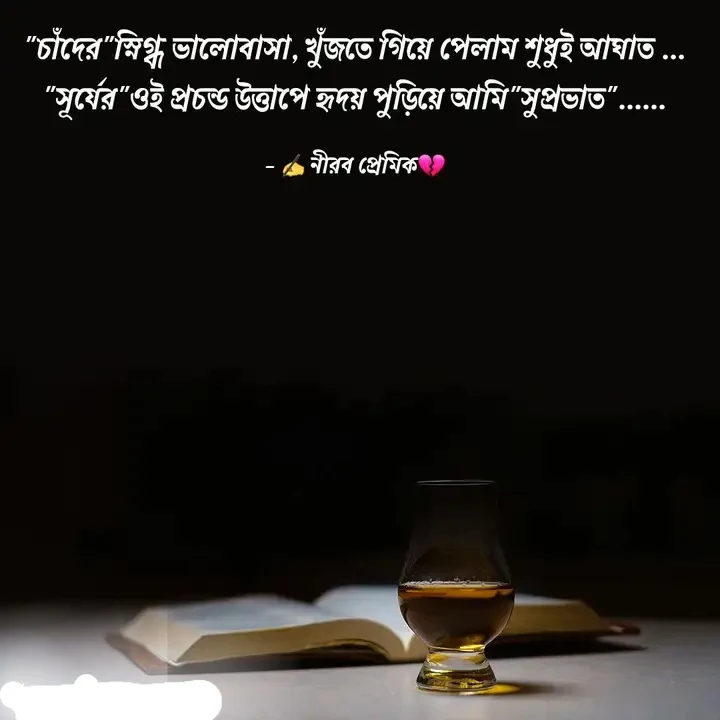 চাঁদ নিয়ে স্টাটাস, চাঁদ নিয়ে ফেসবুক স্টাটাস, চাঁদ নিয়ে বিখ্যাত উক্তি