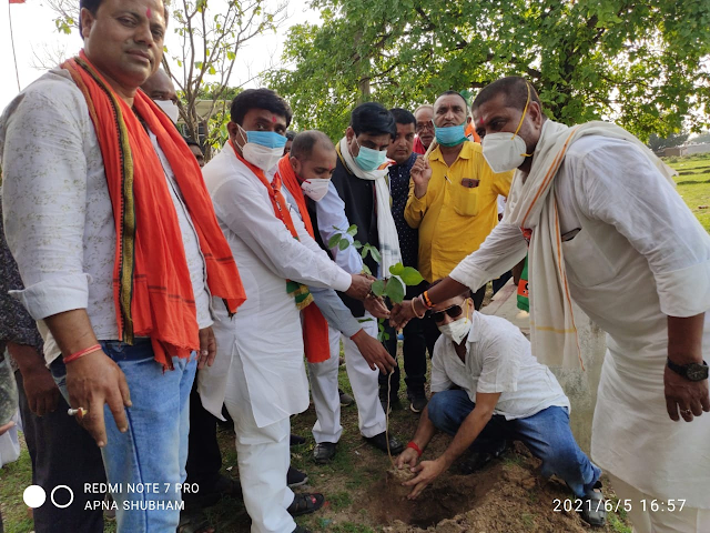 भारतीय जनता पार्टी के द्वारा पर्यावरण दिवस के अवसर पर ब्रह्मा स्थान खजूरी लगमा में वृक्षारोपण----विकास कुमार की रिपोर्ट