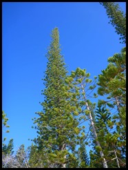 P1070121