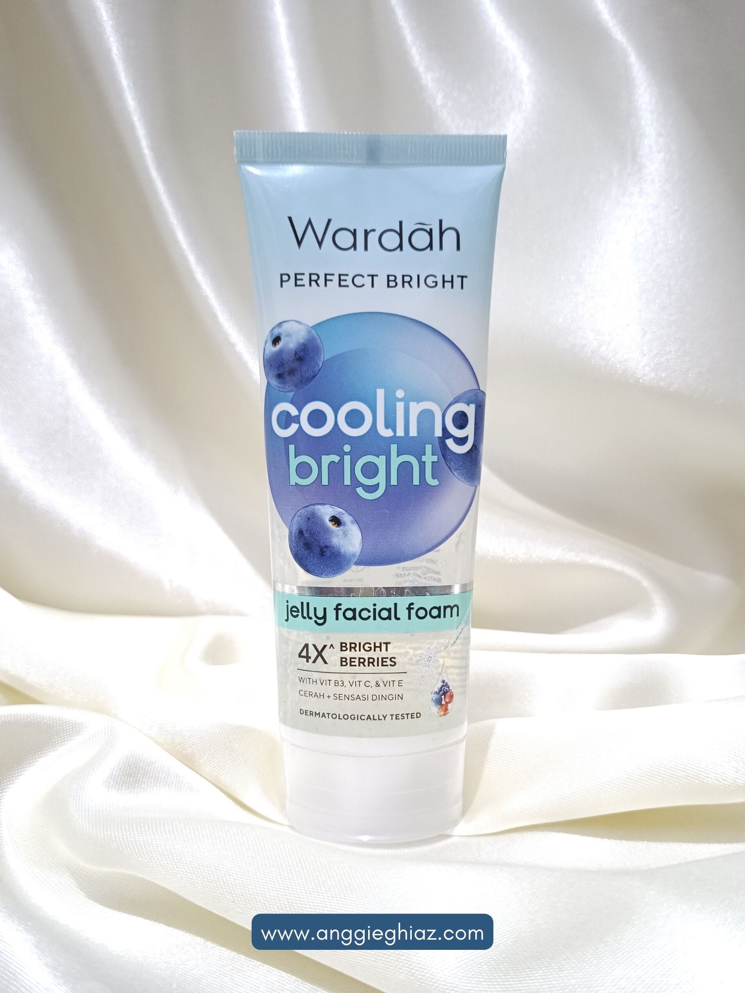 Wardah Perfect Bright Jelly Foam 1