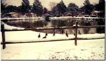 camelot pond