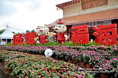 _DSC0431 copy