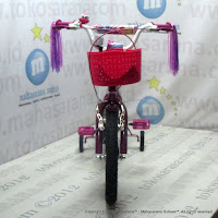 16 Inch Element Bonita Kids Bike