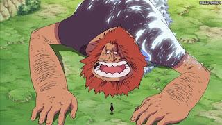 ワンピース アニメ エニエスロビー編 278話 ハグワール・D・サウロ Jaguar D. Saul | ONE PIECE Episode 278 Enies Lobby